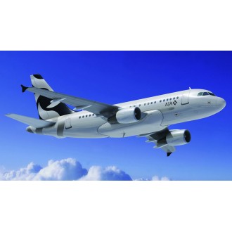 Airbus 318 Elite Airbus 318 Elite