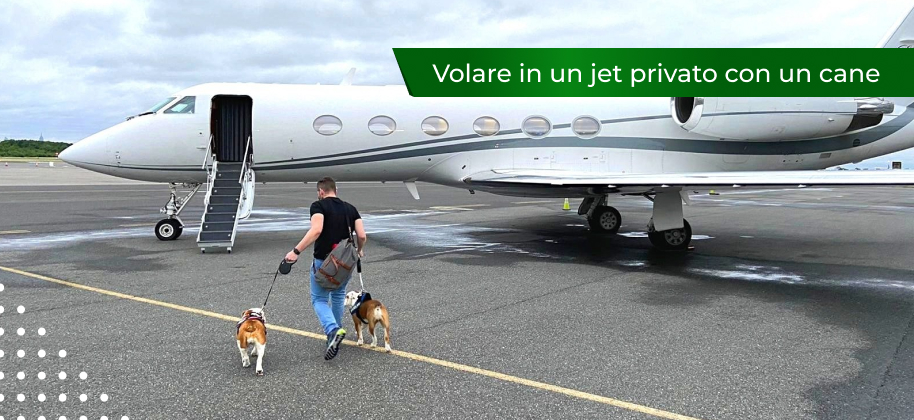 volo in jet privato con cane