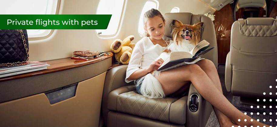 volo in jet privato con un animale domestico