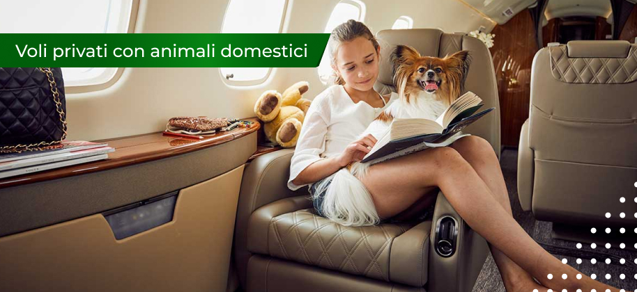 viaggi aerei con un cane e un gatto